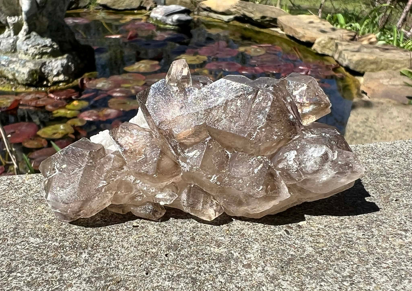 Smoky Elestial Quartz Specimen #8 - Gem Realm 