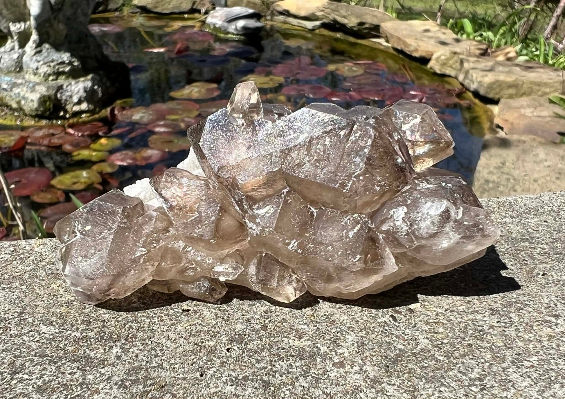 Smoky Elestial Quartz Specimen #8 - Gem Realm 