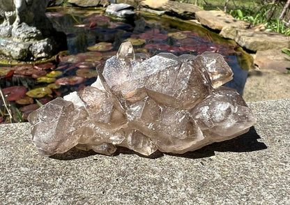 Smoky Elestial Quartz Specimen #8 - Gem Realm 
