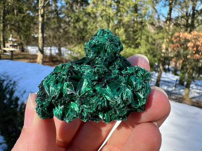 Silk Malachite Specimen #20 - Gem Realm 