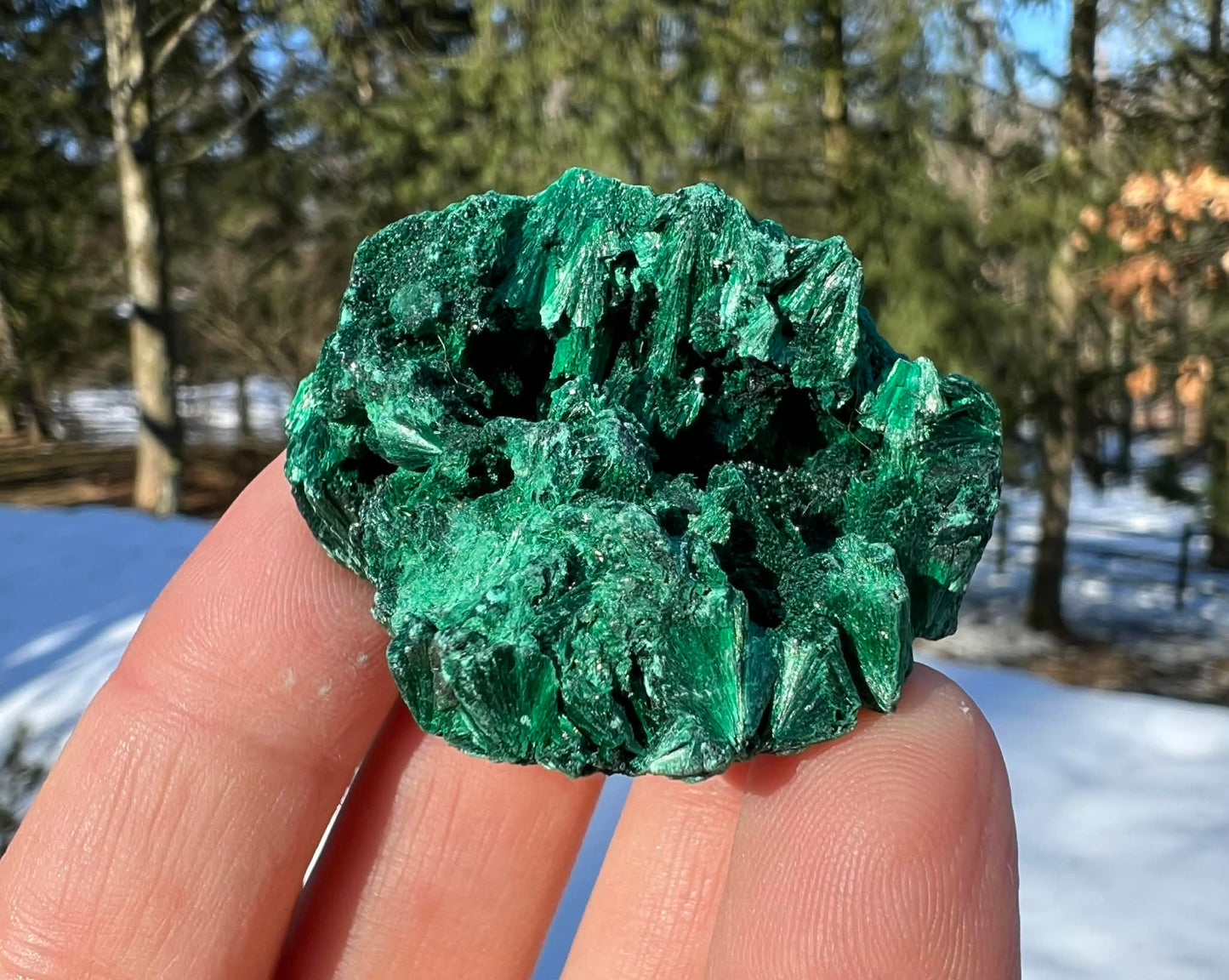 Silk Malachite Specimen #17 - Gem Realm 