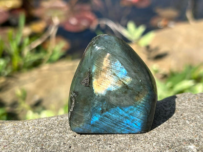 Labradorite Freeform - Mini - Gem Realm 