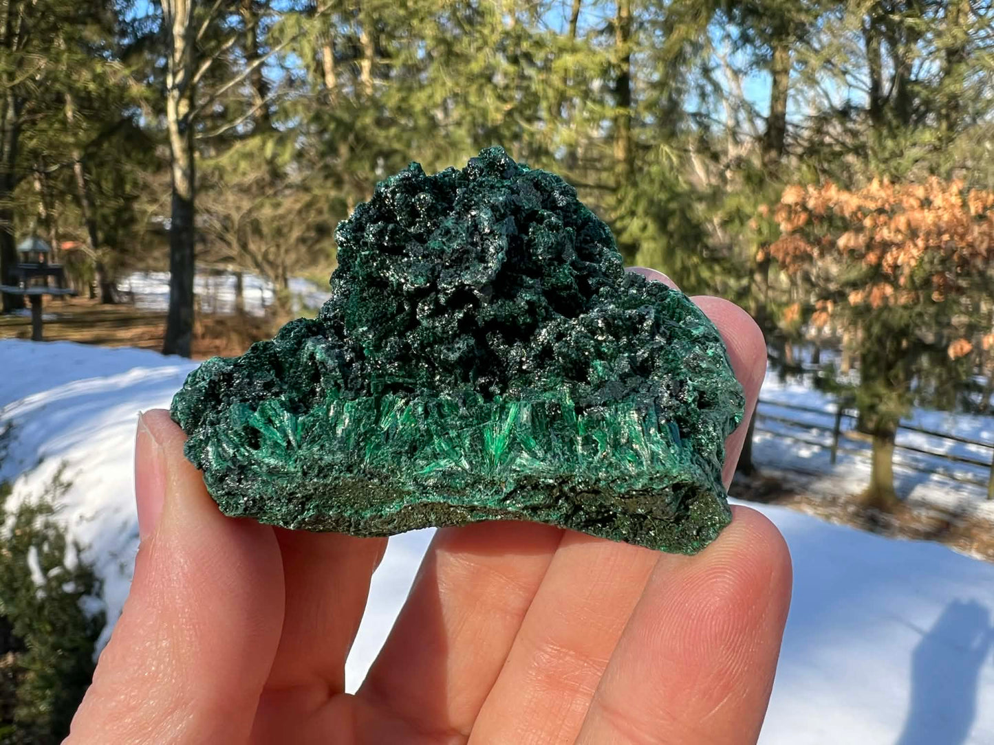 Silk Malachite Specimen #8 - Gem Realm 