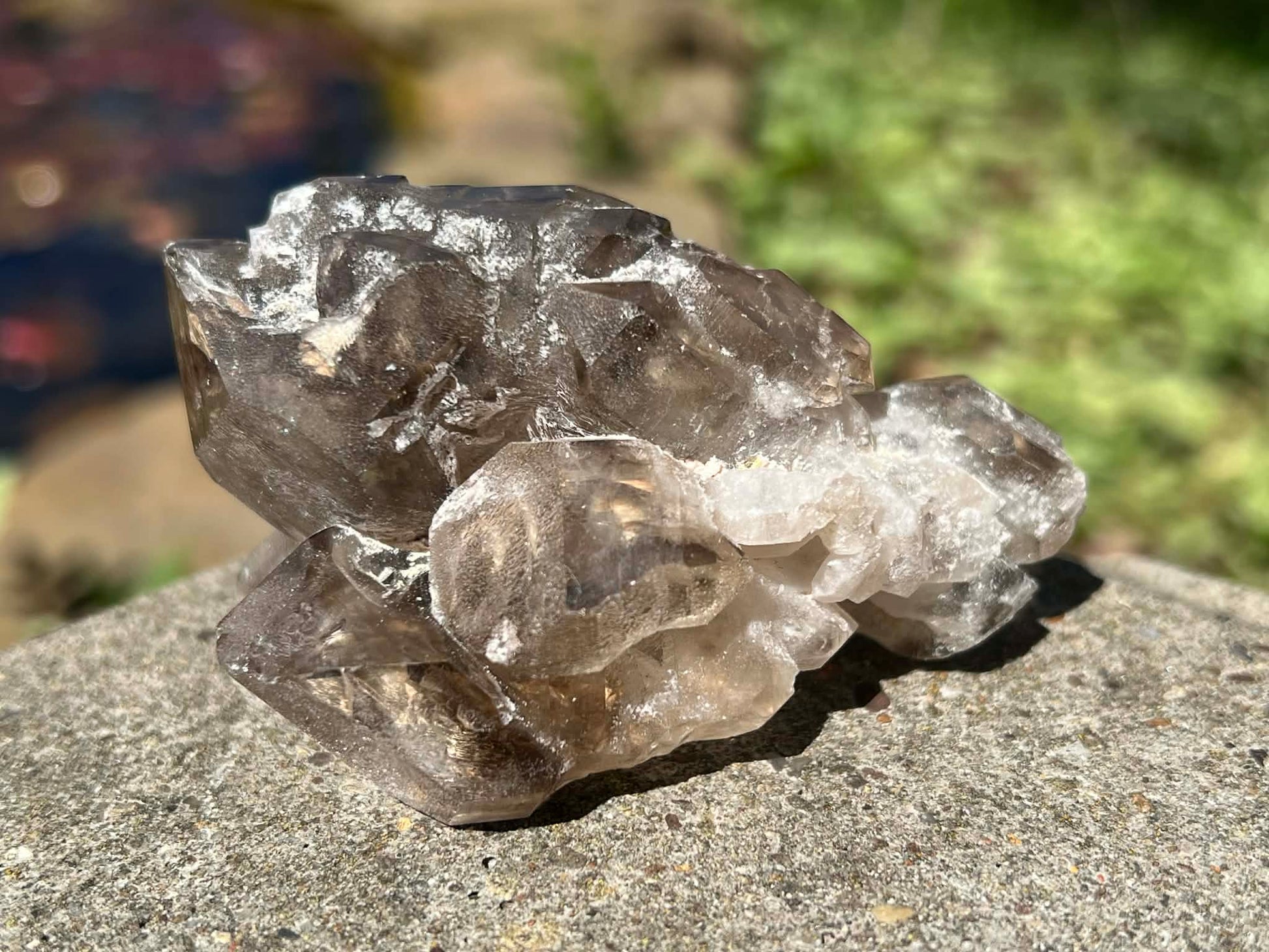 Smoky Elestial Quartz Specimen #9 - Gem Realm 