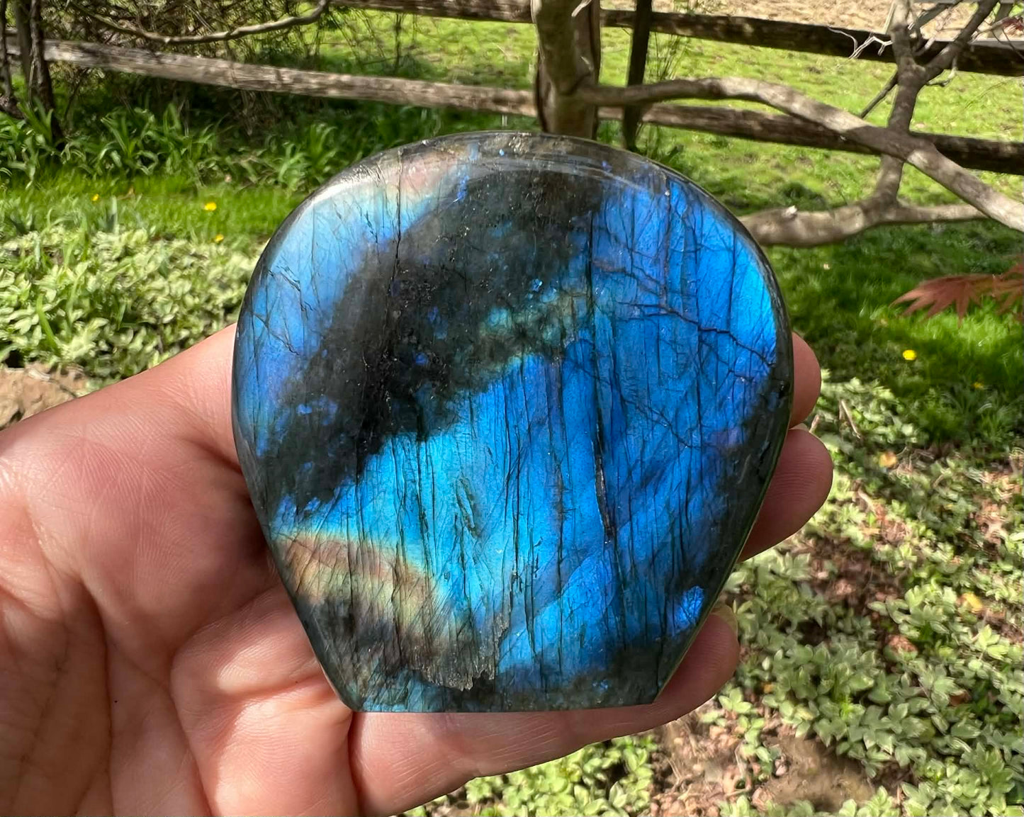 Labradorite Freeform - Gem Realm 