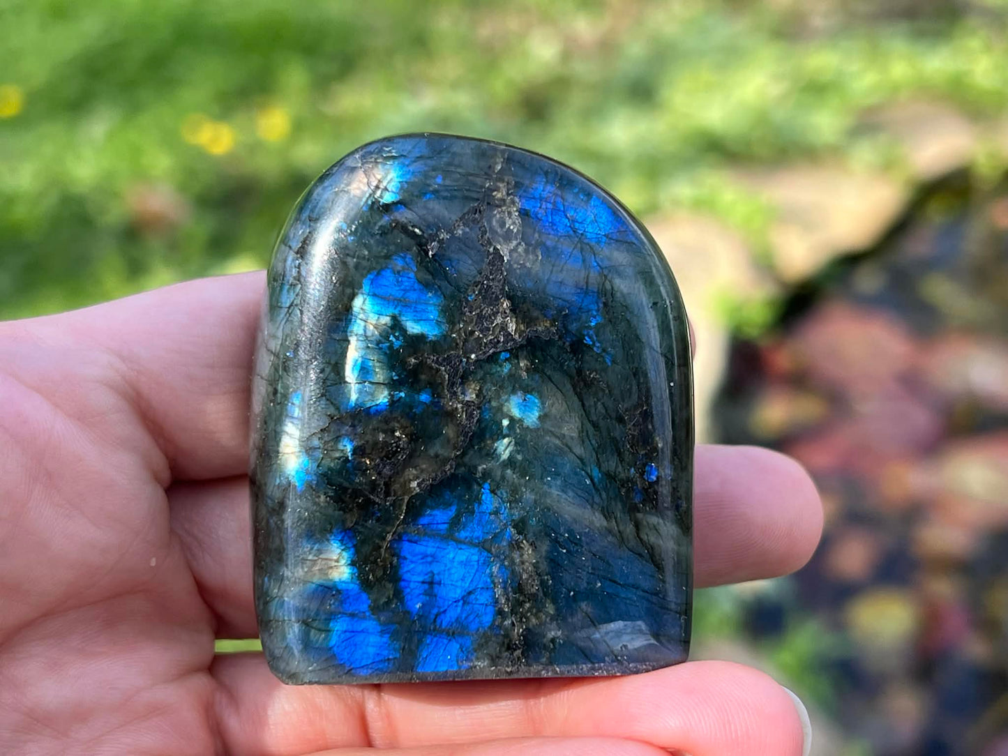 Labradorite Freeform - Gem Realm 