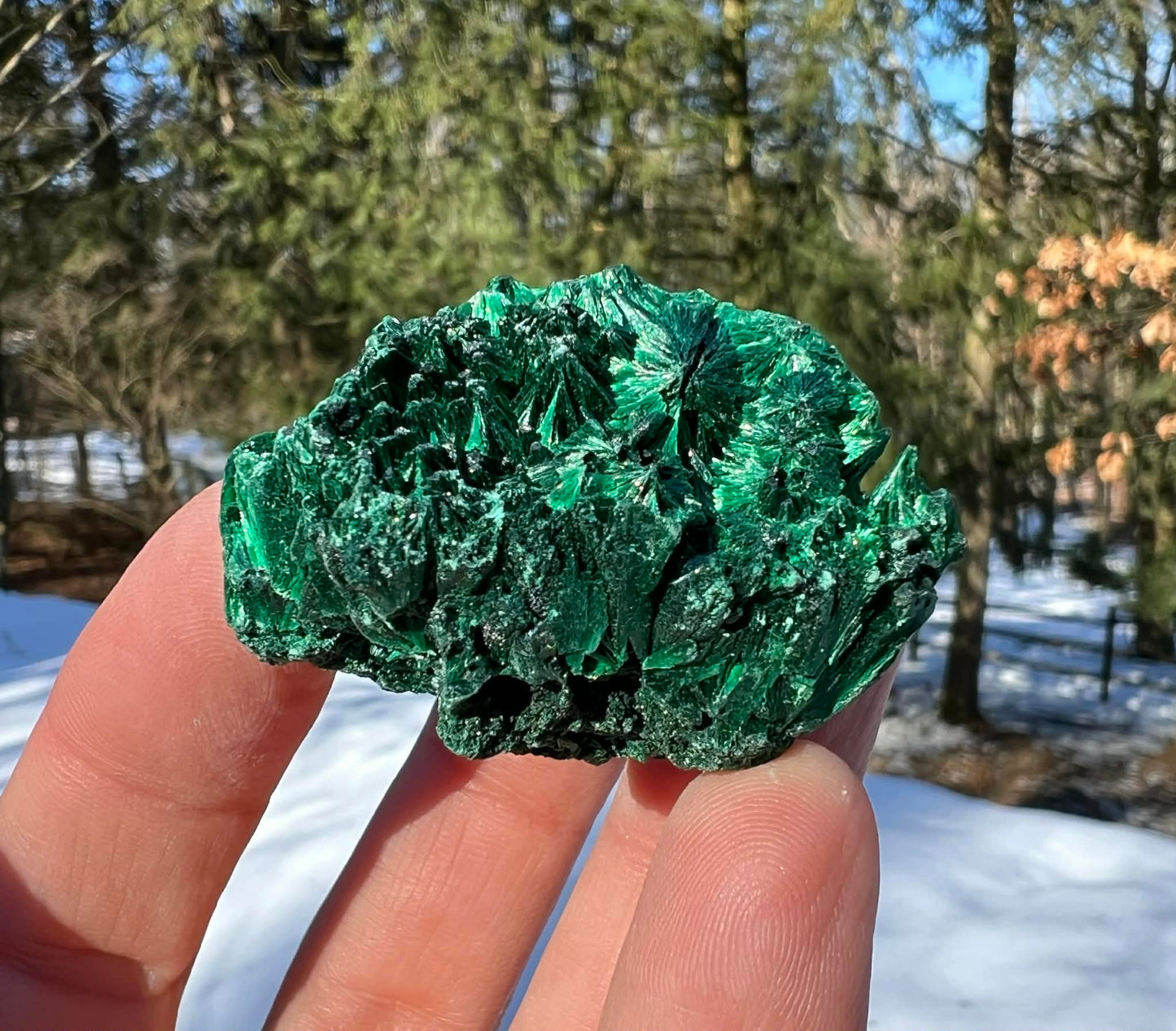 Silk Malachite Specimen #17 - Gem Realm 
