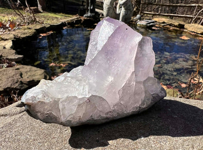 Amethyst Cluster Specimen ~ Brazil