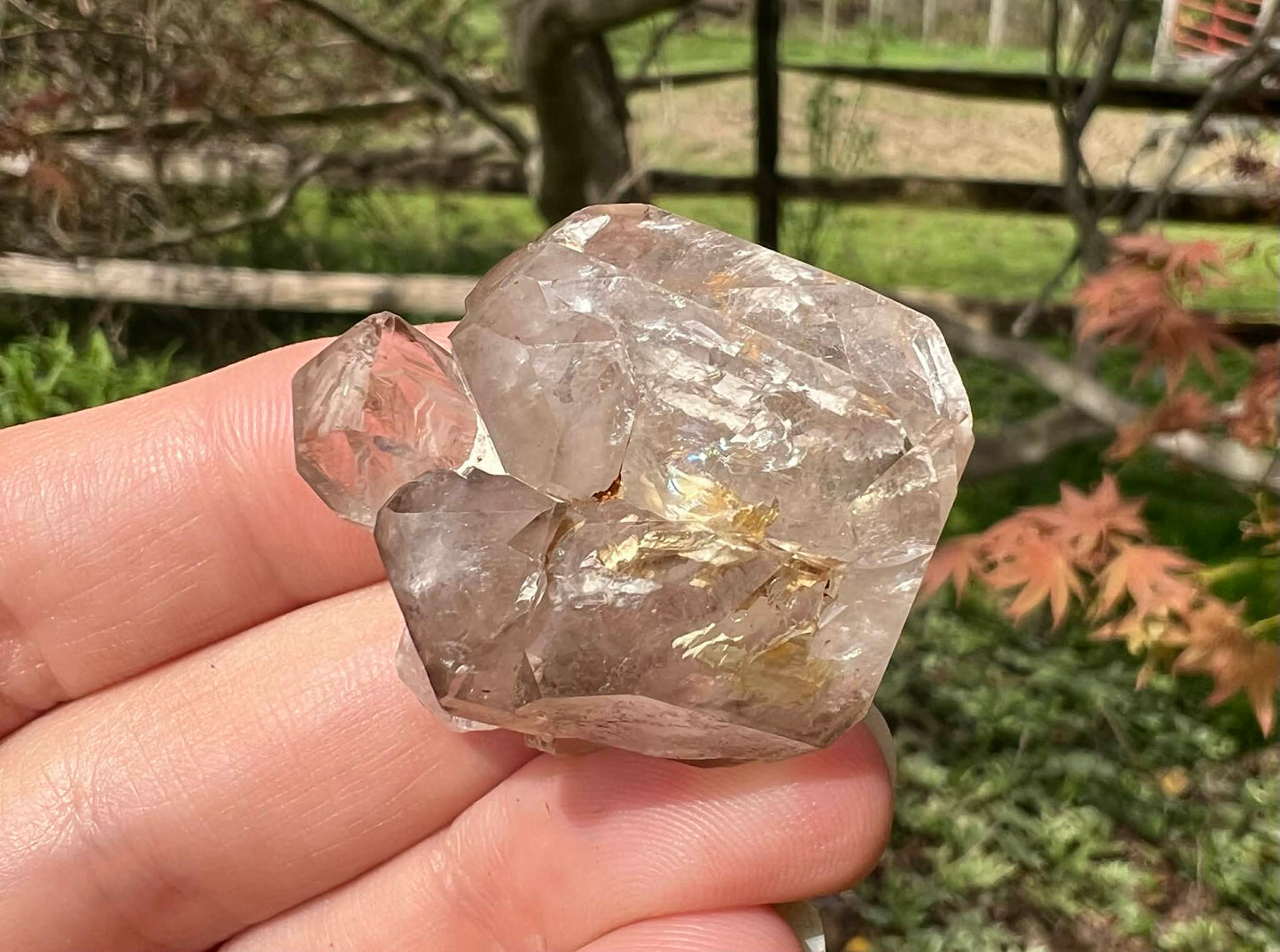 Smoky Elestial Quartz Specimen #12 - Gem Realm 