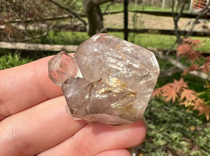 Smoky Elestial Quartz Specimen #12 - Gem Realm 
