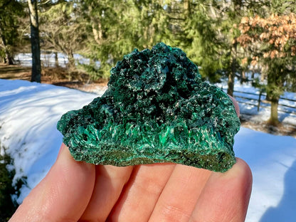 Silk Malachite Specimen #8 - Gem Realm 