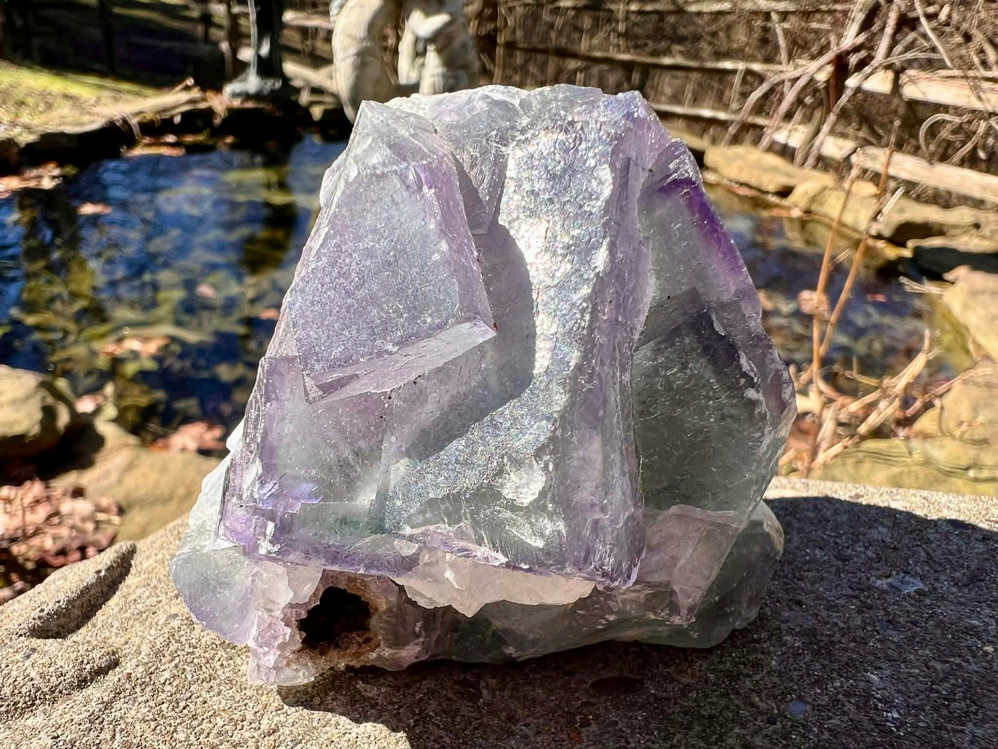 Rainbow Fluorite Specimen - Gem Realm 