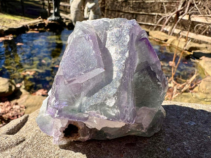 Rainbow Fluorite Specimen - Gem Realm 