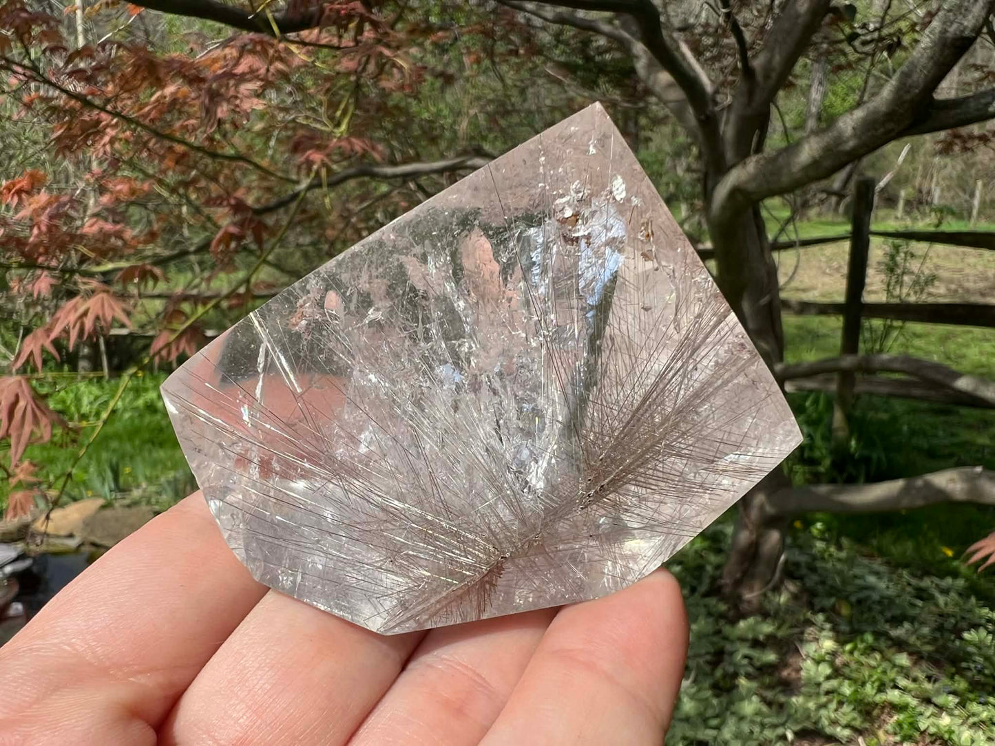 Rutilated Quartz Freeform - Gem Realm 