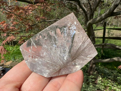 Rutilated Quartz Freeform - Gem Realm 