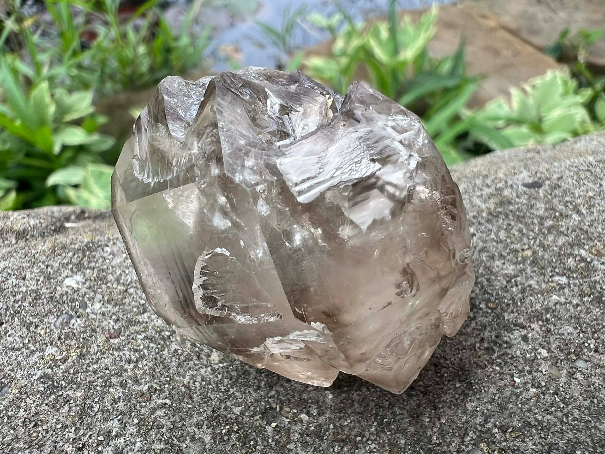 Smoky Elestial Quartz Specimen #13 - Gem Realm 