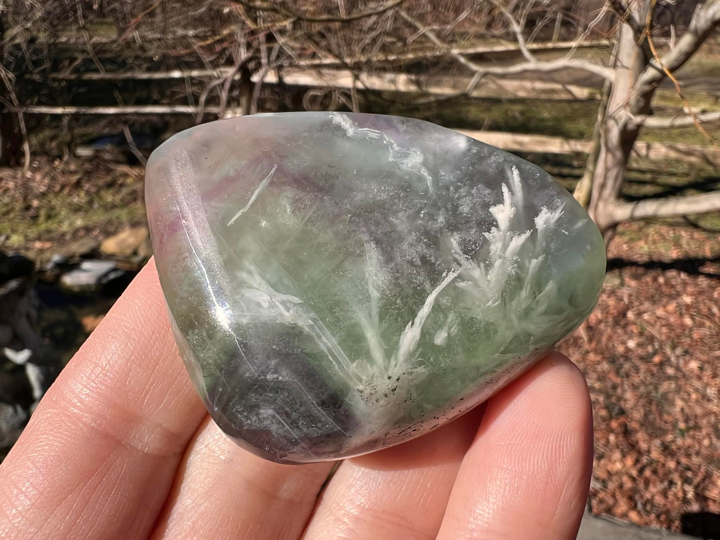 Rainbow Fluorite Palm Stone