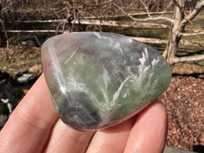 Rainbow Fluorite Palm Stone