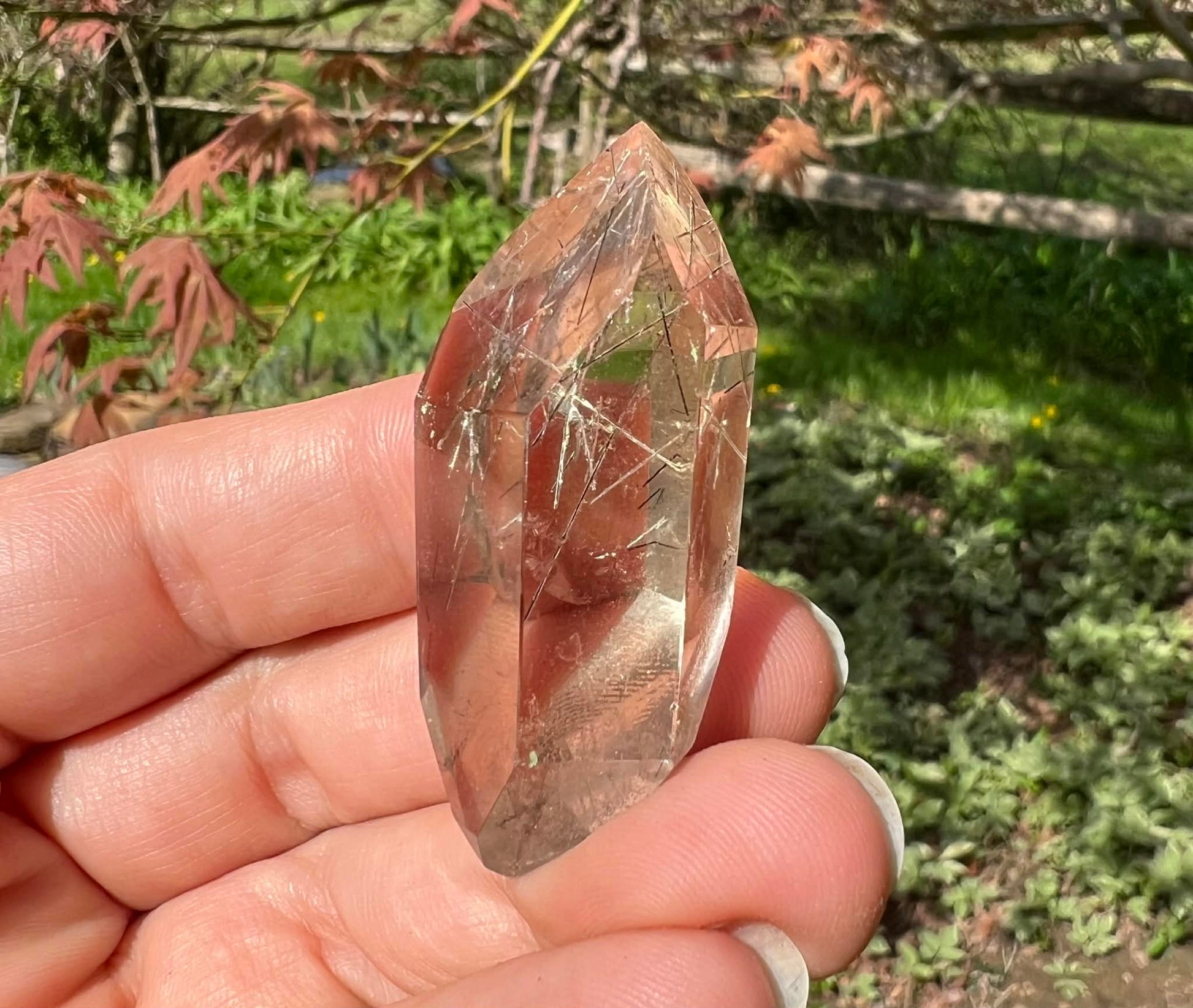 Citrine Double Terminated Polished Point ~ Rutilated - Gem Realm 