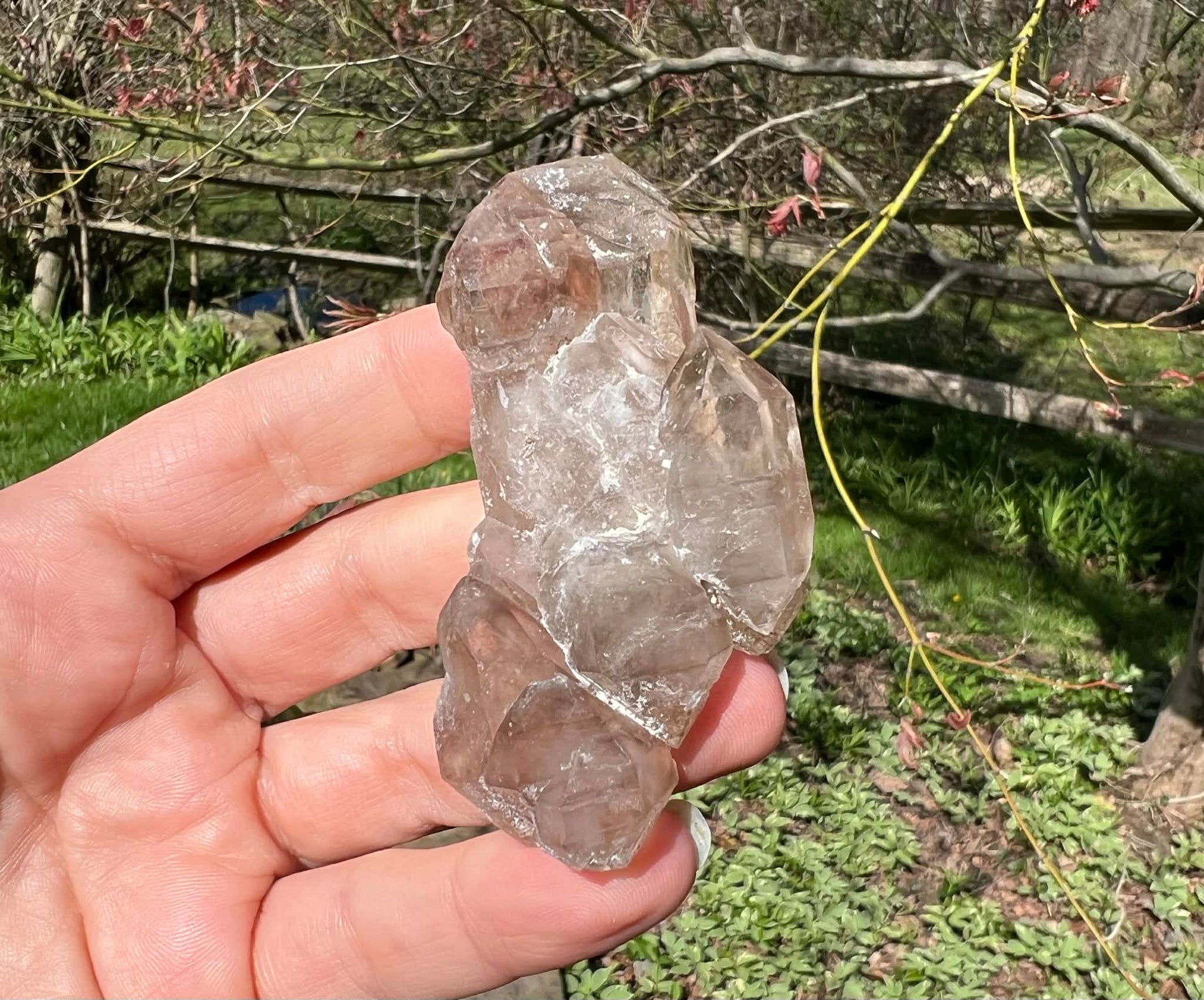 Smoky Elestial Quartz Specimen #7 - Gem Realm 
