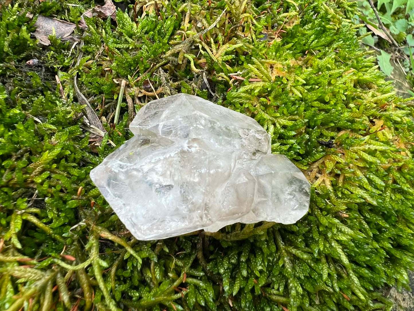 Smoky Elestial Quartz Specimen #11 - Gem Realm 