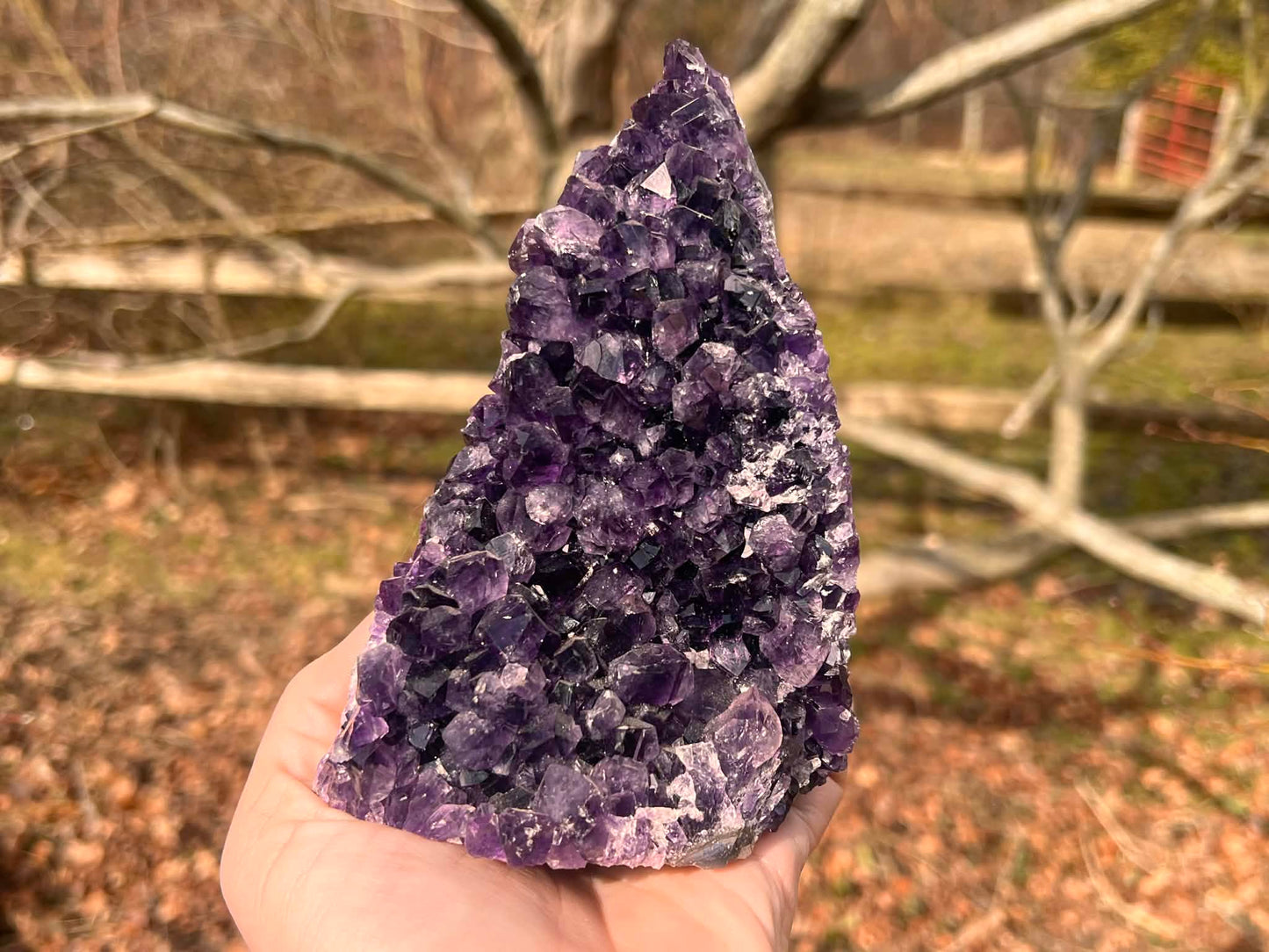 Amethyst Geode - Gem Realm 