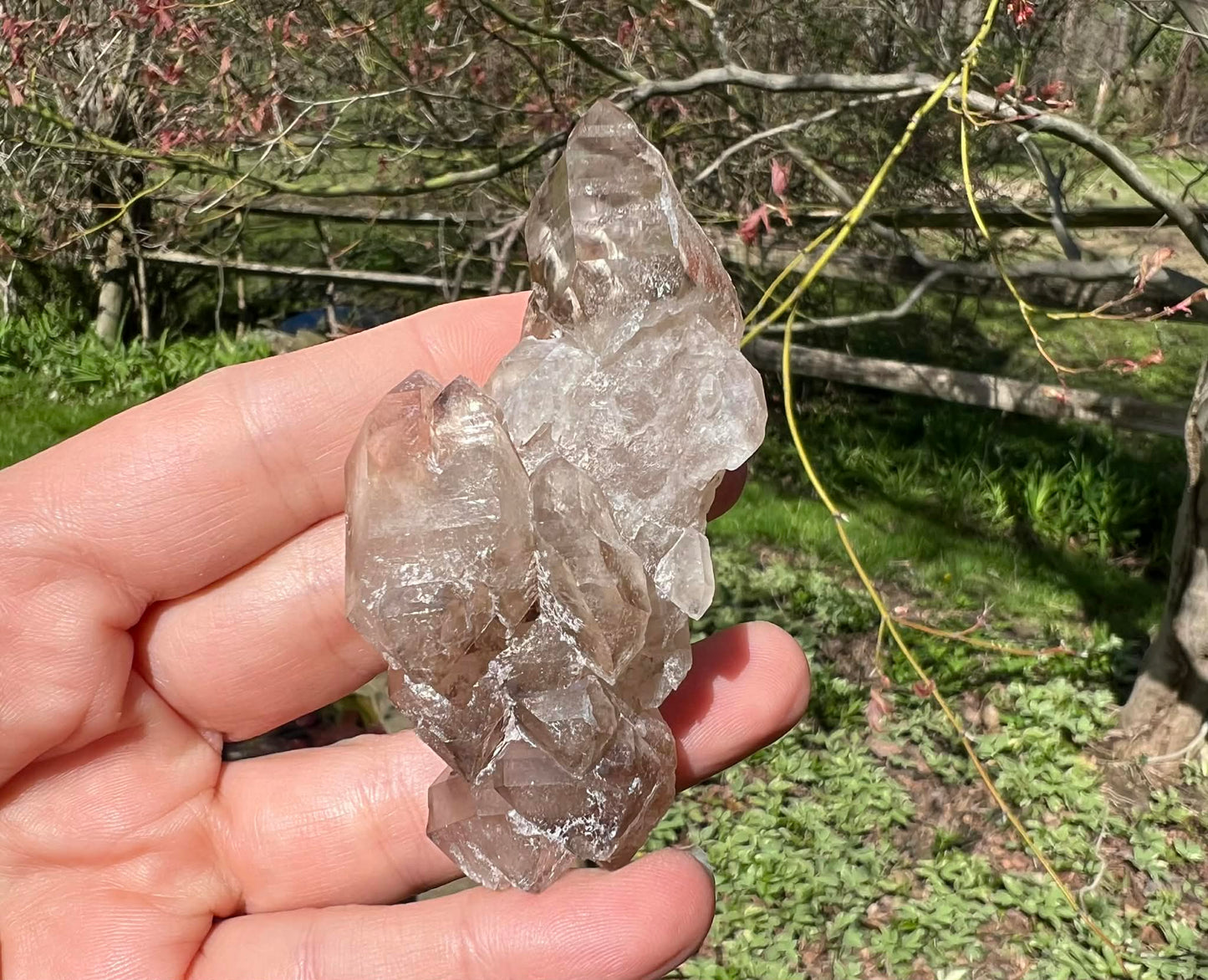 Smoky Elestial Quartz Specimen #7 - Gem Realm 