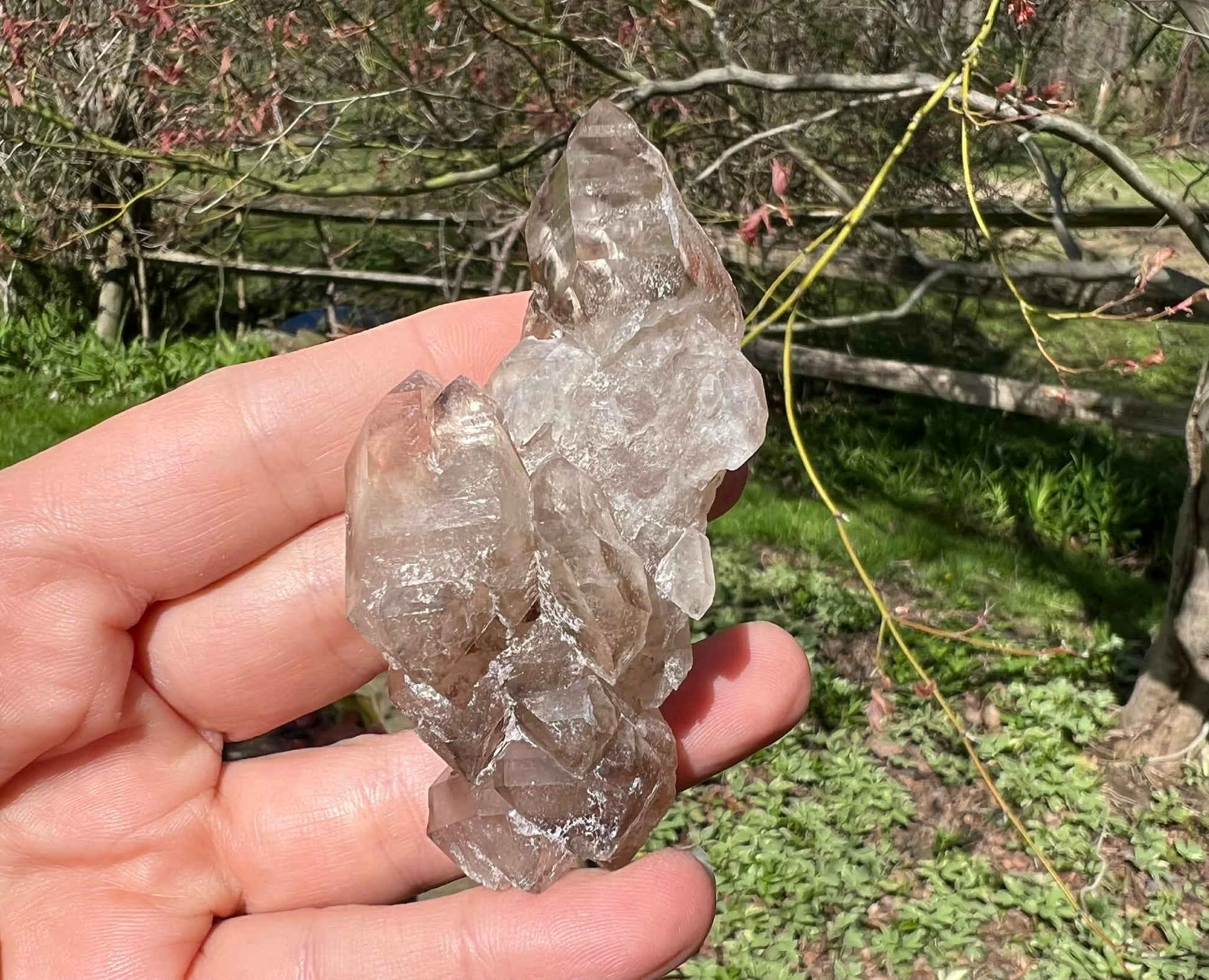 Smoky Elestial Quartz Specimen #7 - Gem Realm 