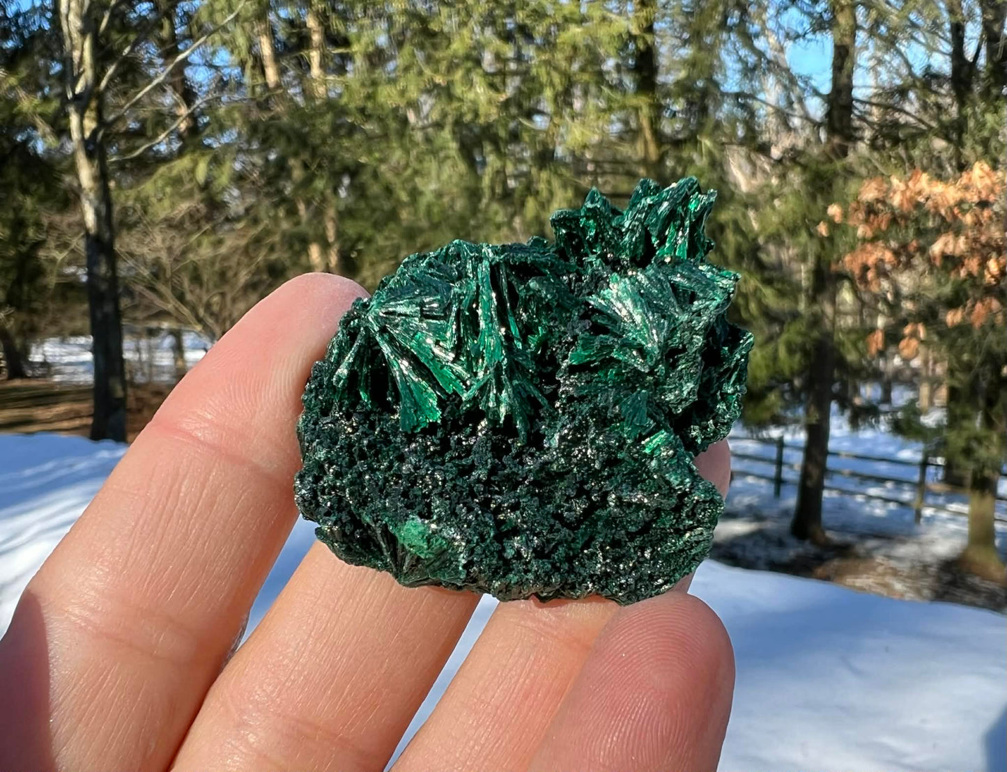 Silk Malachite Specimen #7 - Gem Realm 