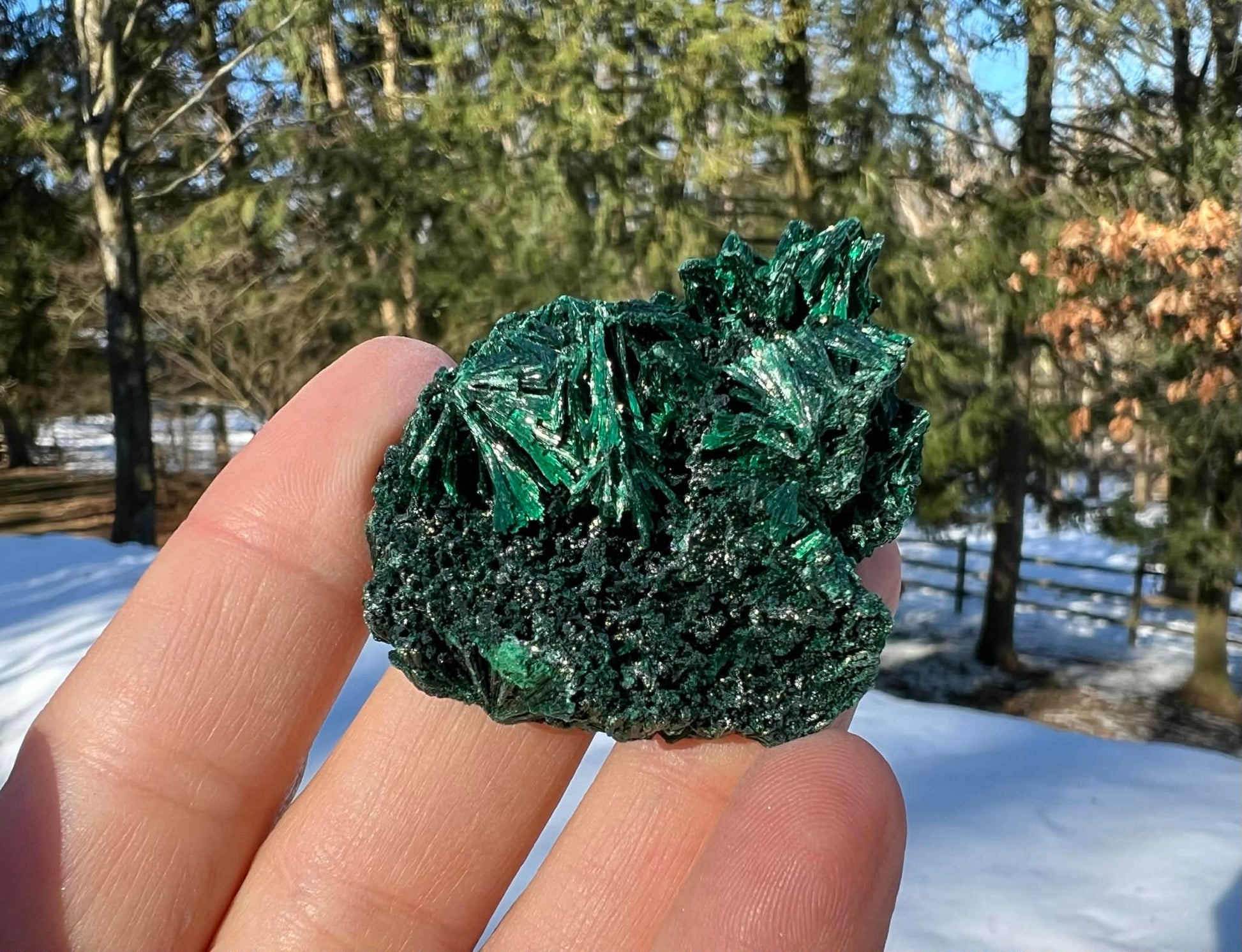 Silk Malachite Specimen #7 - Gem Realm 