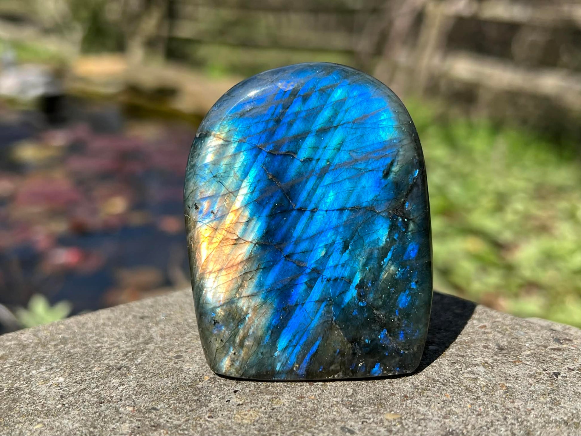 Labradorite Freeform - Gem Realm 