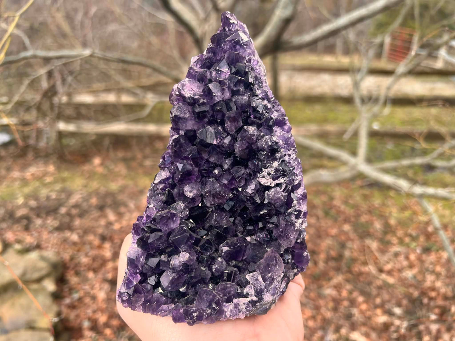 Amethyst Geode - Gem Realm 