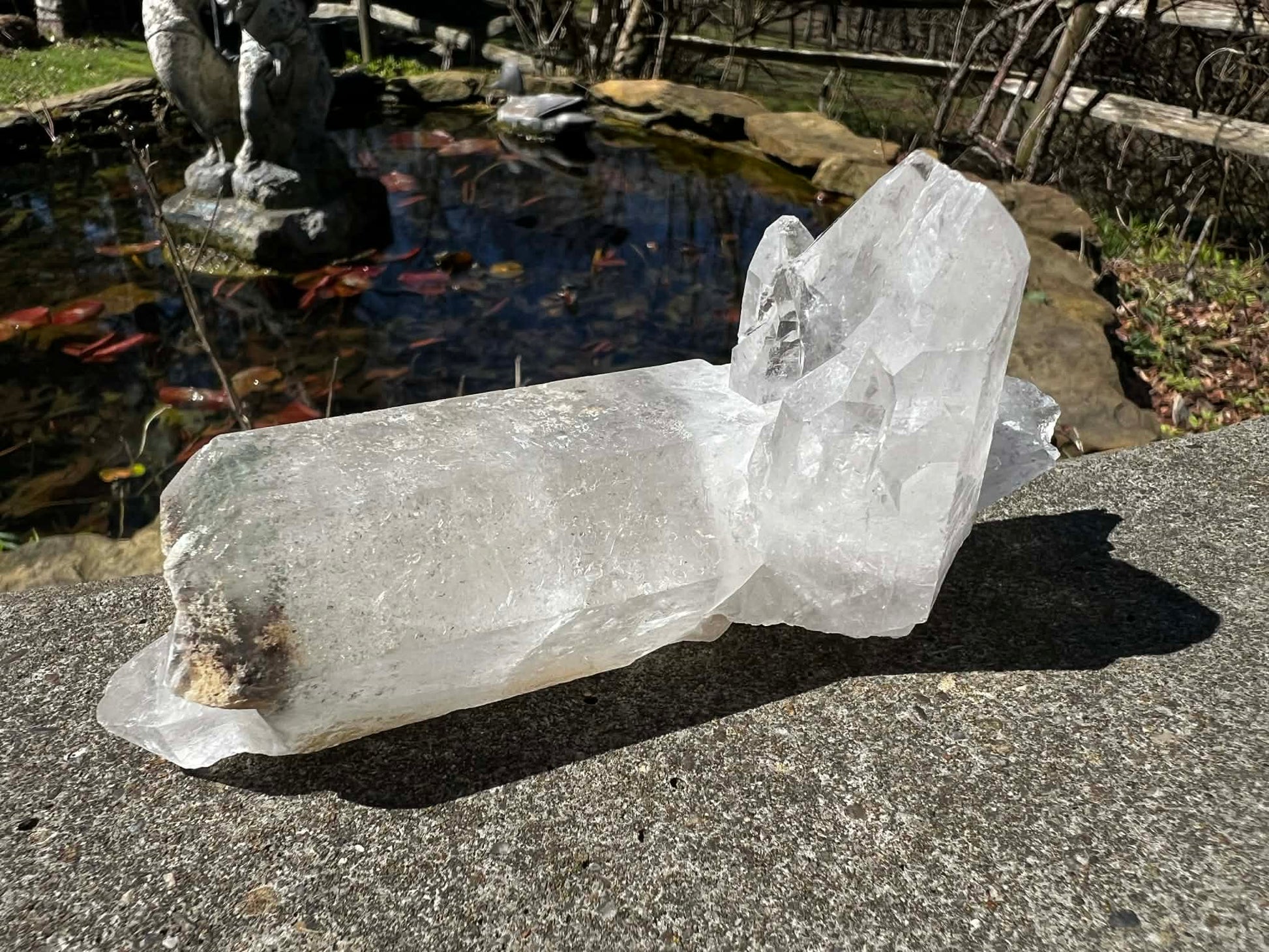 Quartz Crystal Specimen ~ with Chlorite - Gem Realm 