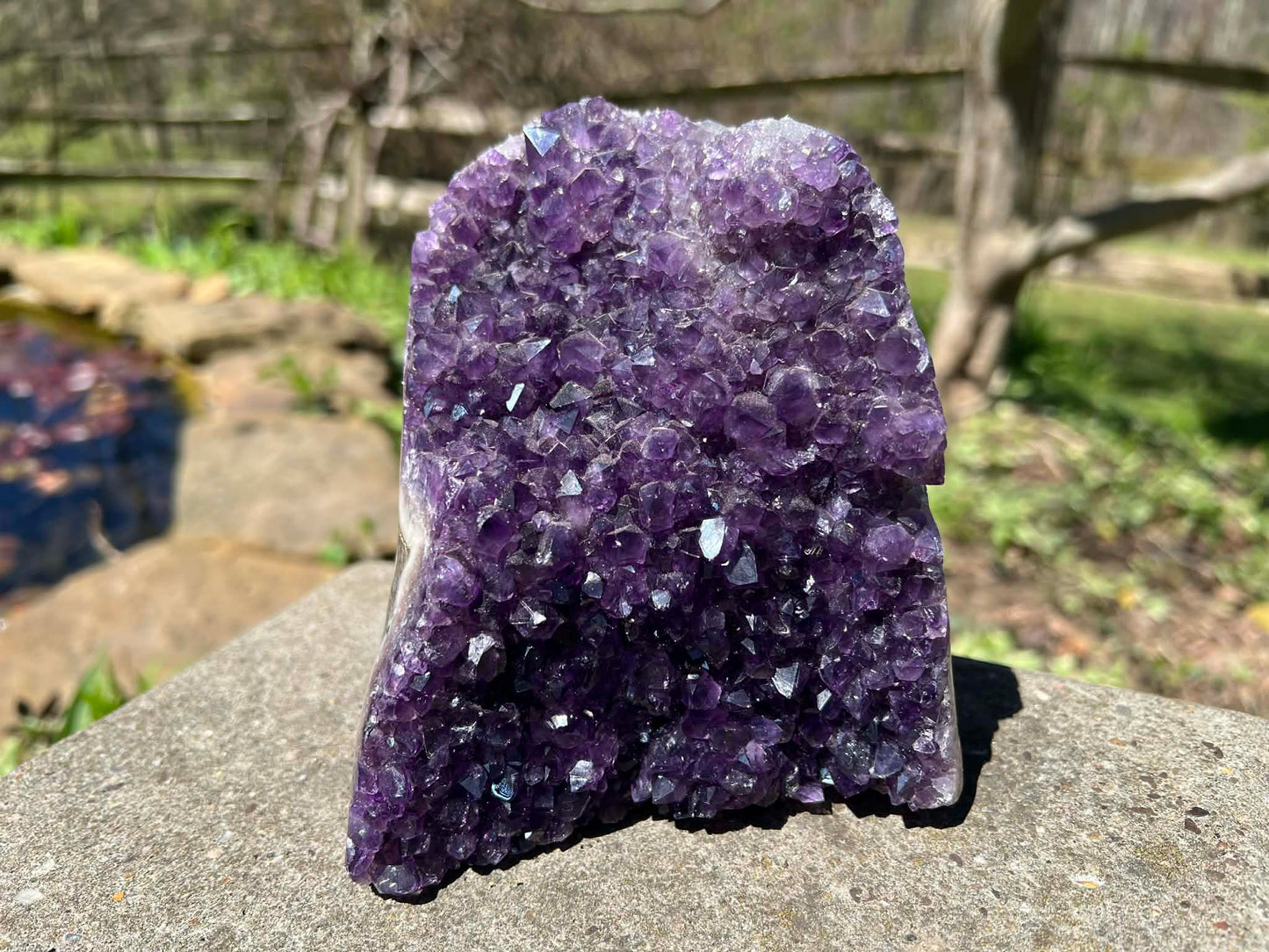Amethyst Geode - Gem Realm 