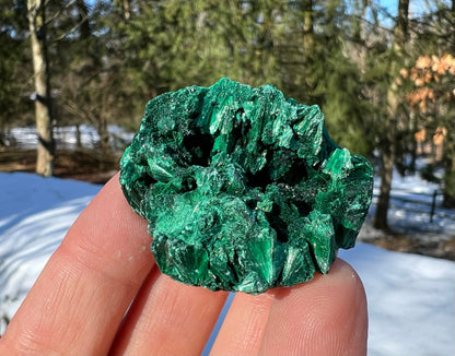 Silk Malachite Specimen #17 - Gem Realm 