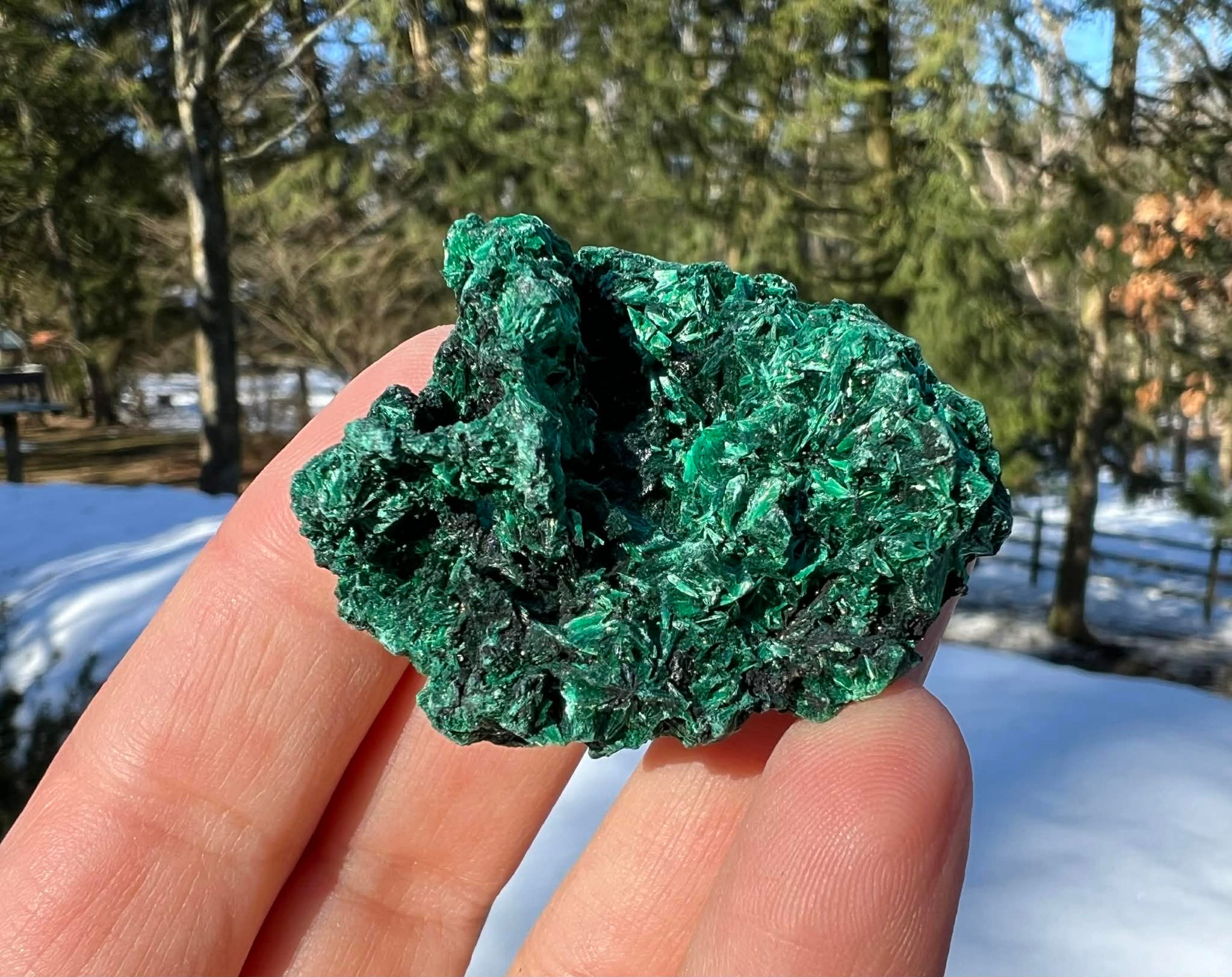 Silk Malachite Specimen #12 - Gem Realm 