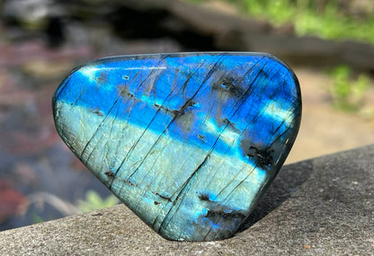 Labradorite Freeform - Gem Realm 