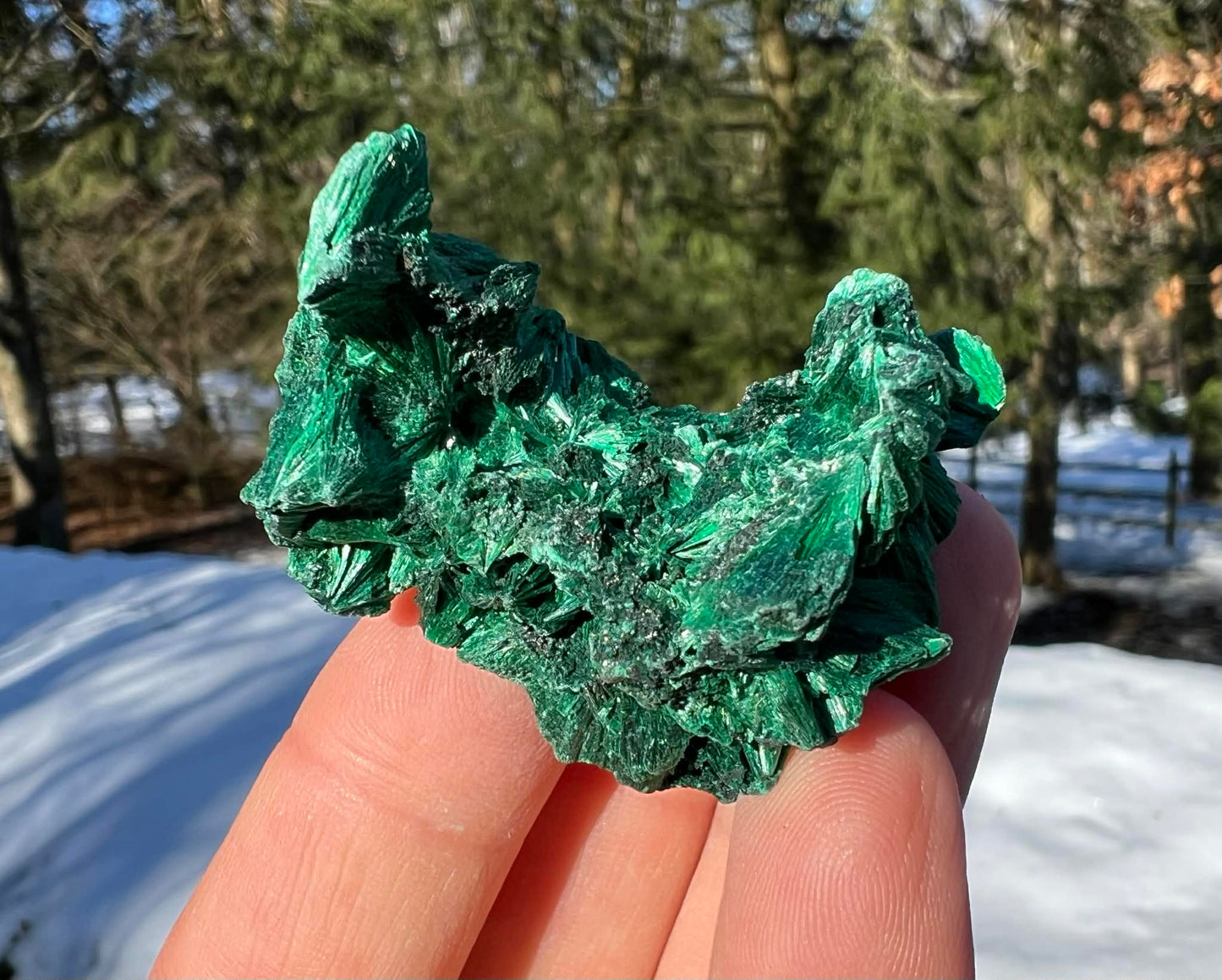 Silk Malachite Specimen #13 - Gem Realm 