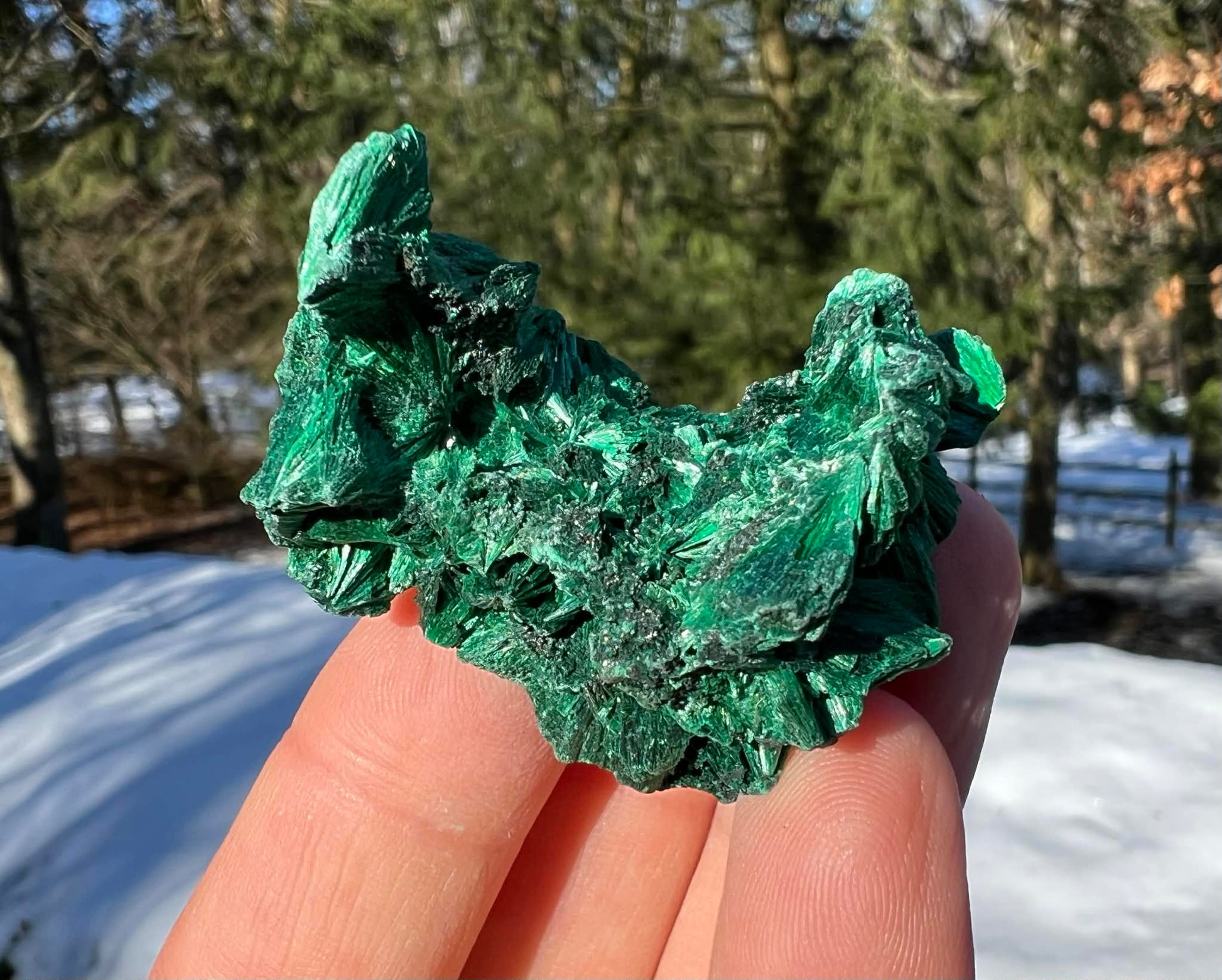 Silk Malachite Specimen #13 - Gem Realm 