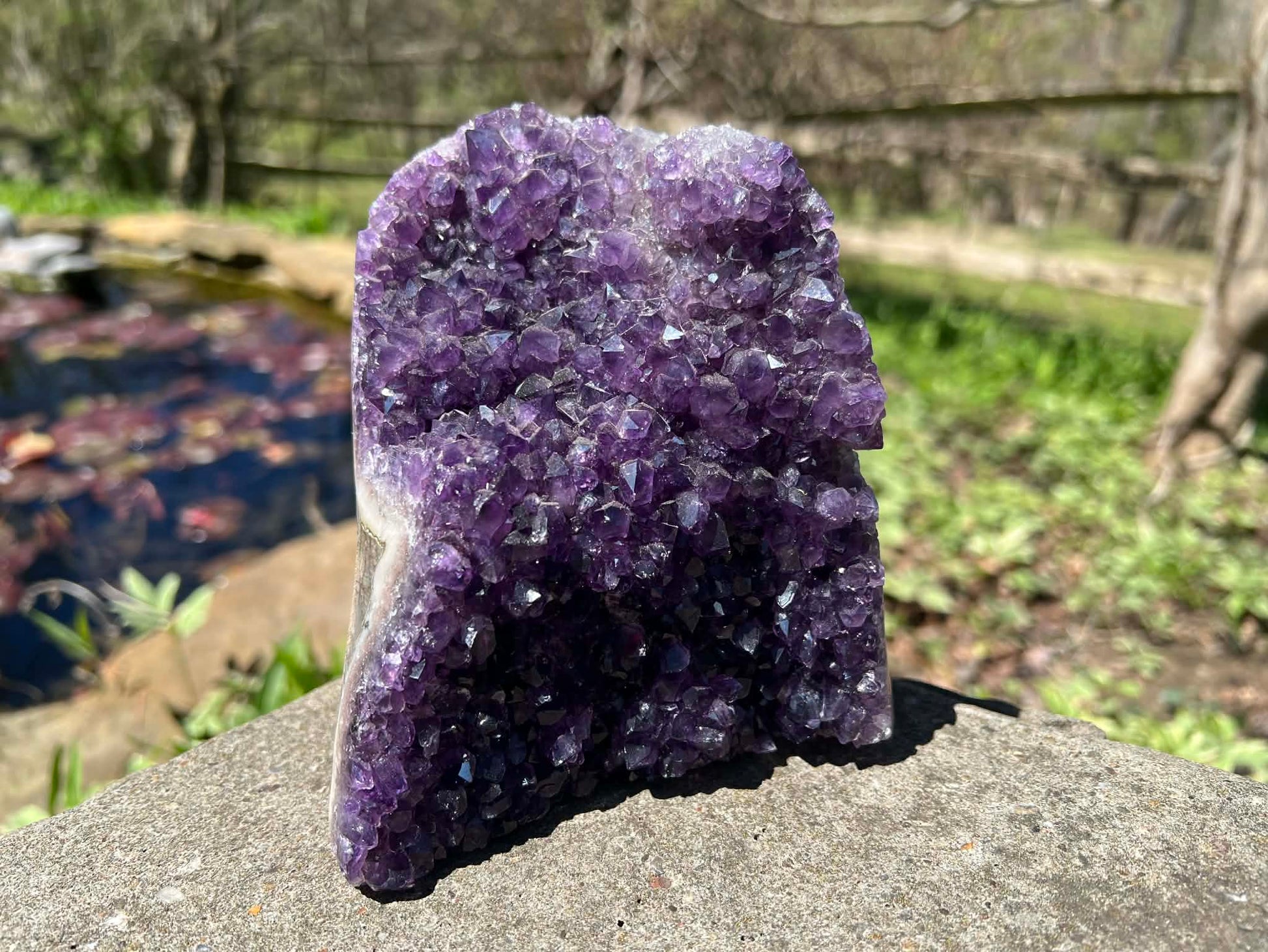 Amethyst Geode - Gem Realm 