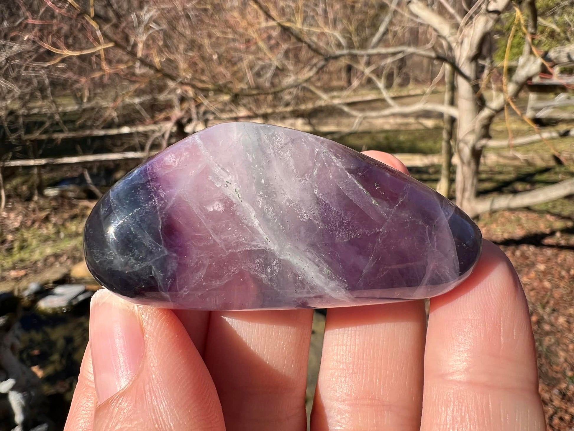 Rainbow Fluorite Palm Stone - Gem Realm 