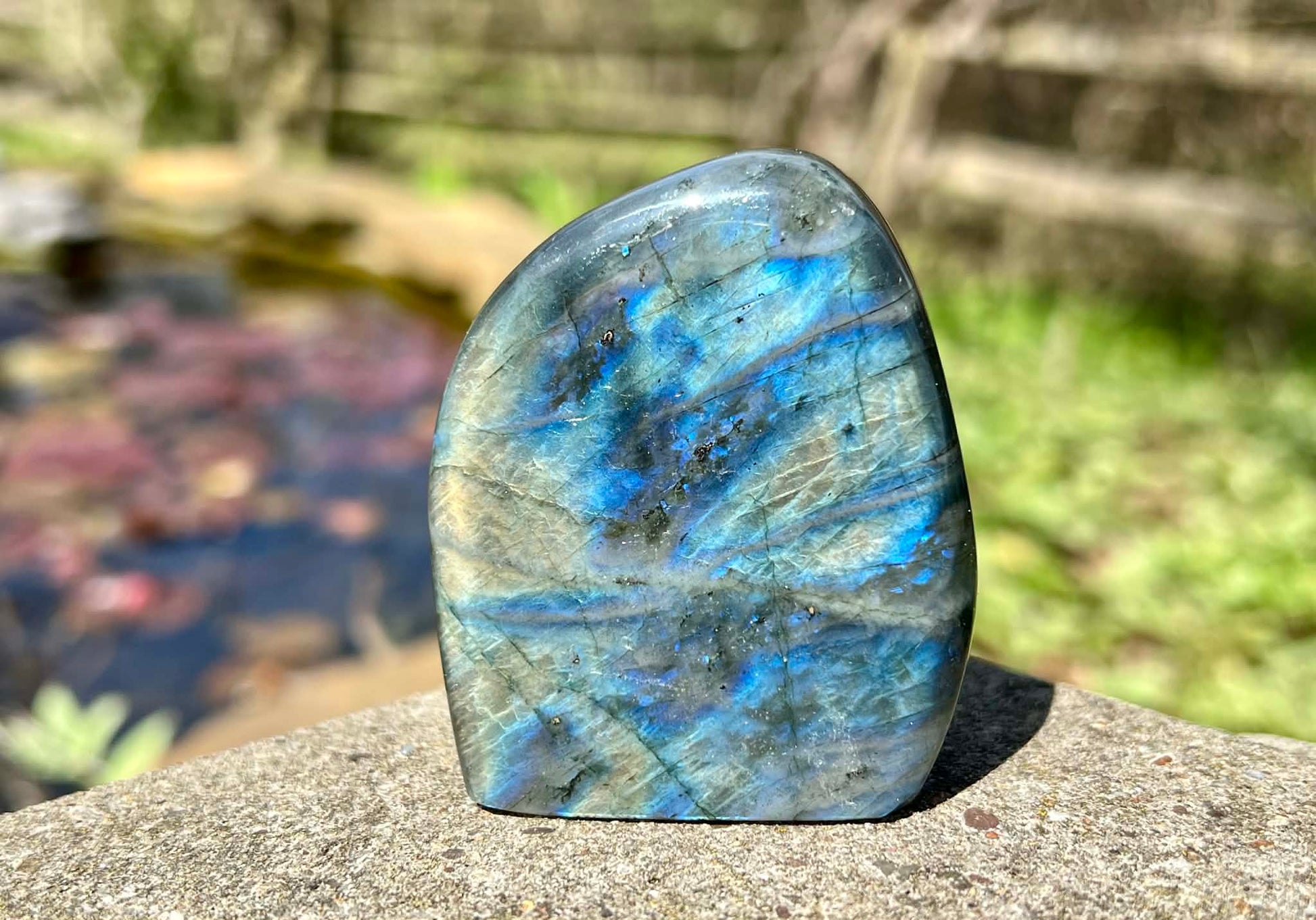 Labradorite Freeform - Gem Realm 