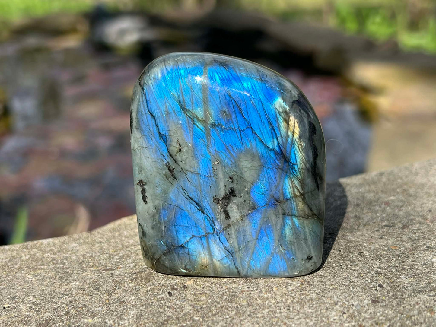 Labradorite Freeform - Gem Realm 