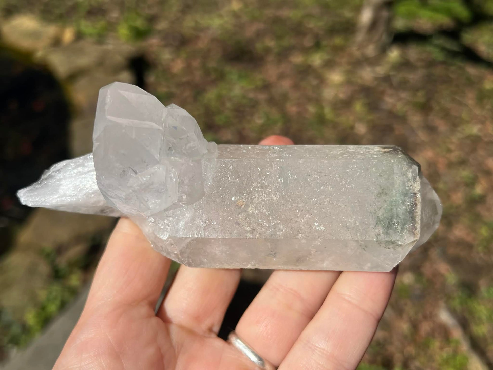 Quartz Crystal Specimen ~ with Chlorite - Gem Realm 