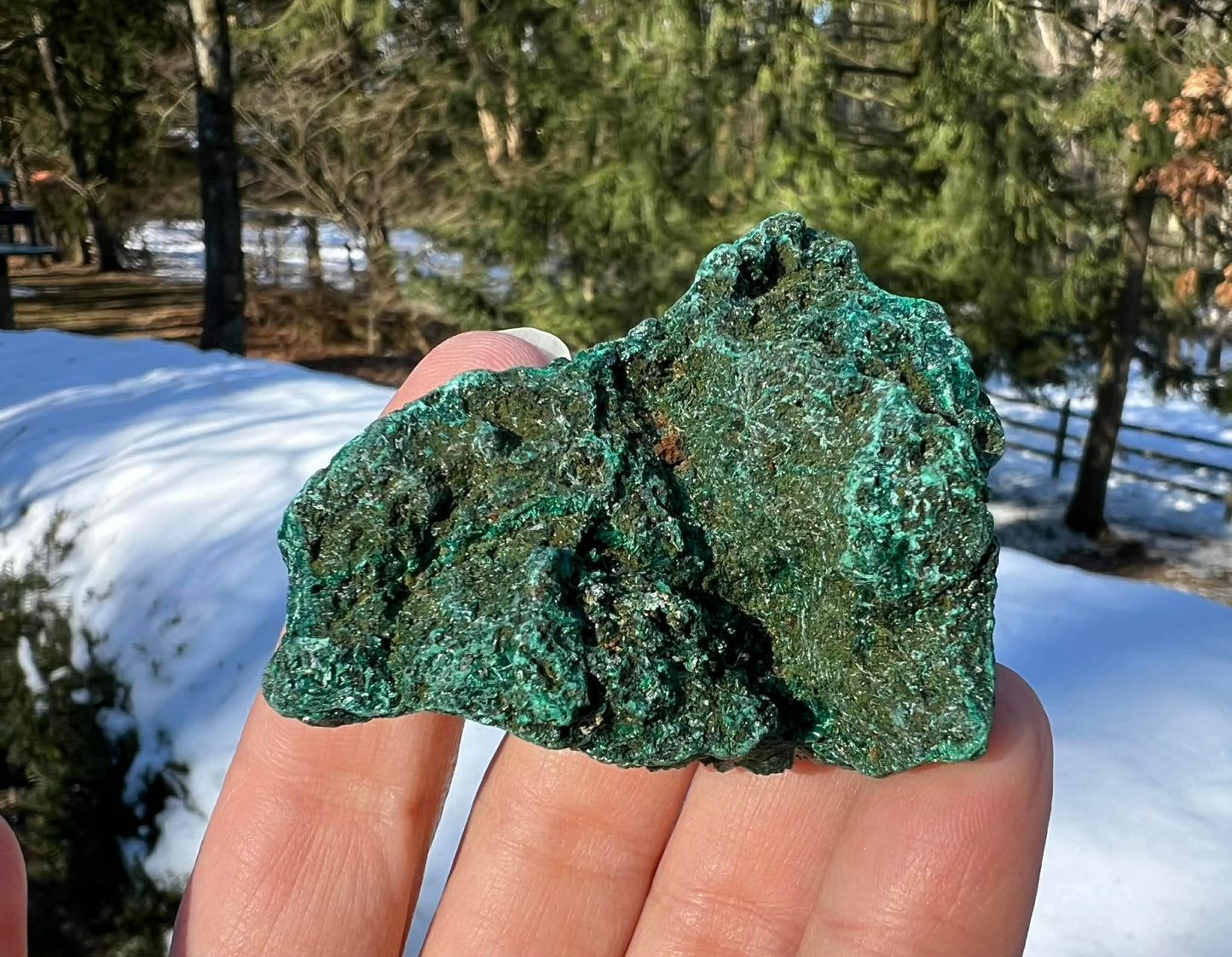Silk Malachite Specimen #8 - Gem Realm 