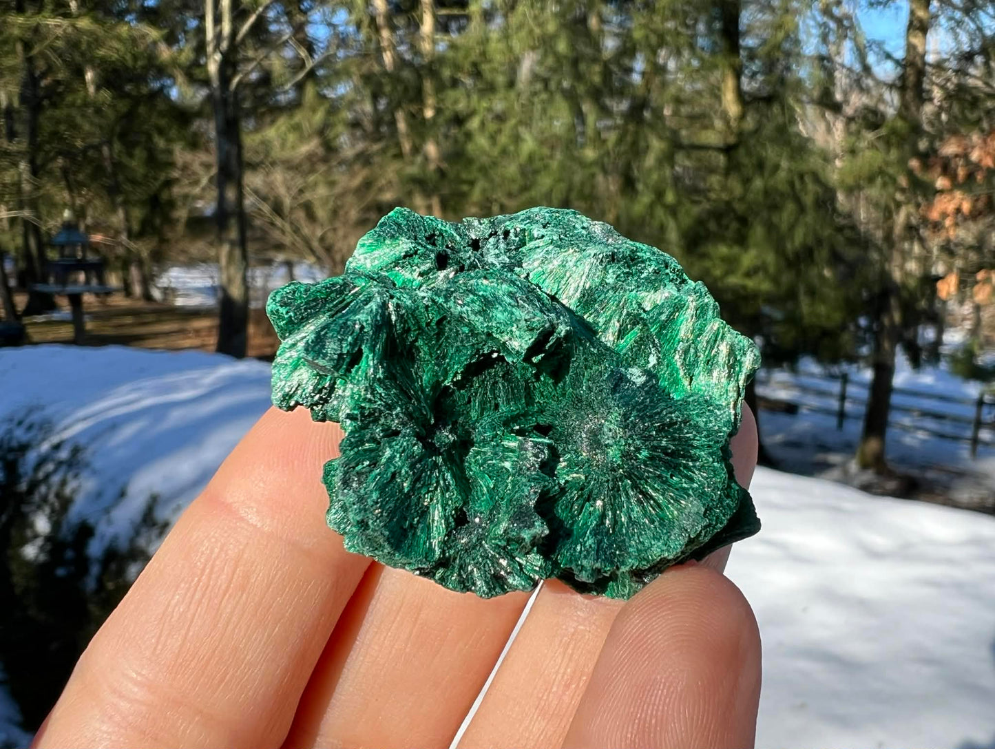 Silk Malachite Specimen #4