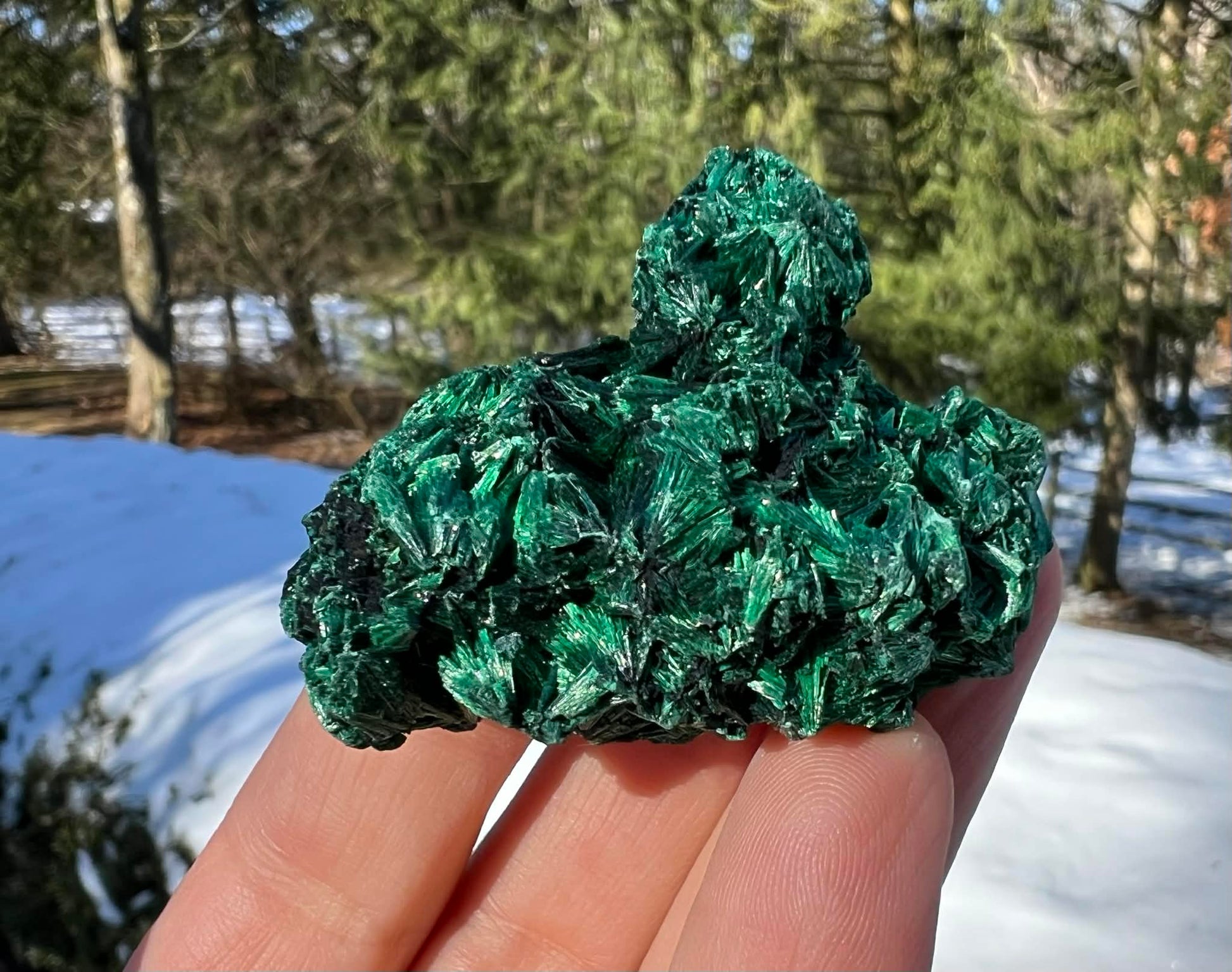Silk Malachite Specimen #20 - Gem Realm 