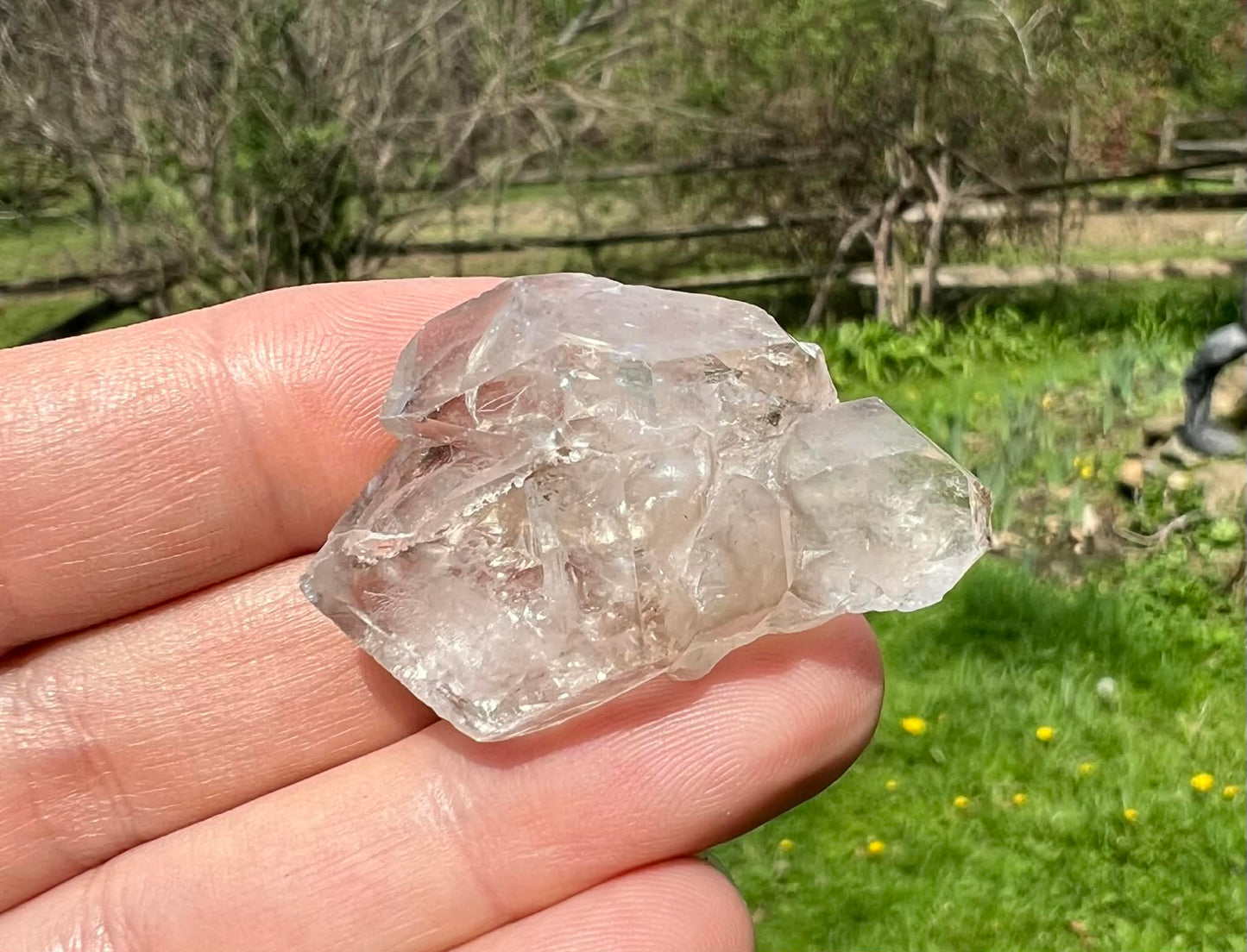 Smoky Elestial Quartz Specimen #11 - Gem Realm 