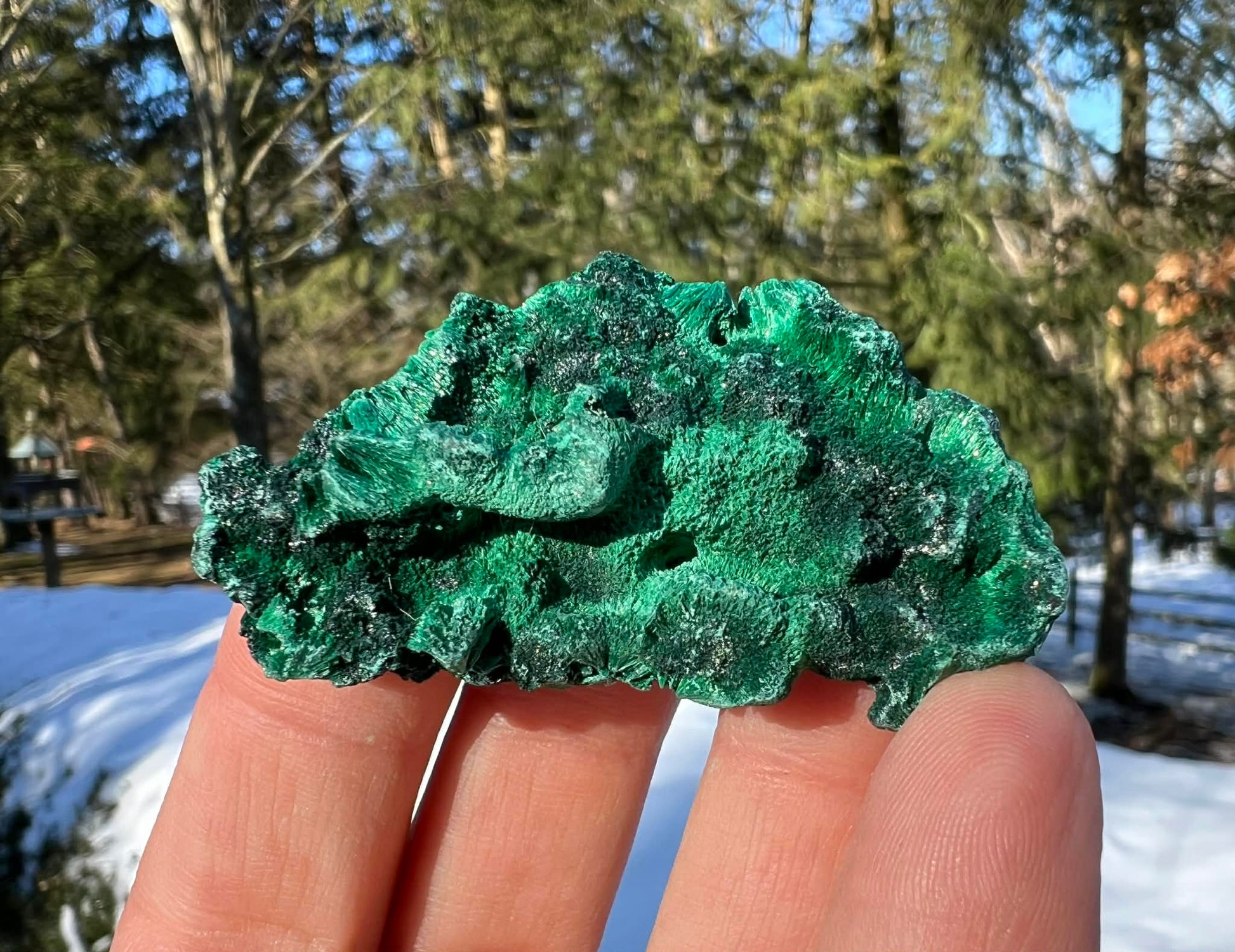 Silk Malachite Specimen #11 - Gem Realm 