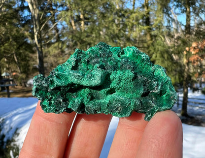 Silk Malachite Specimen #11 - Gem Realm 